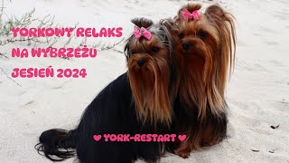 Yorkowy relaks na wybrzeżu  jesień 2024 ❤️ YorkRestart ❤️ [upl. by Fleda]