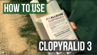 How To Kill Weeds with Clopyralid 3 Herbicide [upl. by Ahsein608]