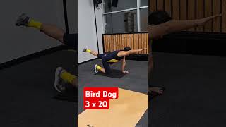 Bird dogs crossfit [upl. by Yleoj]