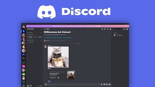 Wie funktioniert Discord Das Große Tutorial 2021 [upl. by Cyrille]