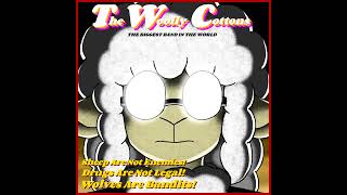 The Woolly Cottons  Shadows of the Past1966 Version [upl. by Maurili535]