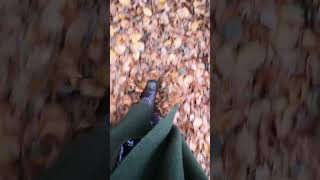 ASMR Herrliche HERBST Geräusche blätterrascheln elbuferweg asmr asmrsounds [upl. by Codie]