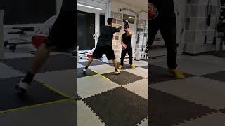 Side step  straight lead  pendulum groin kick kampfkunstimbmarinello ascioneandrea JKD [upl. by Panta]