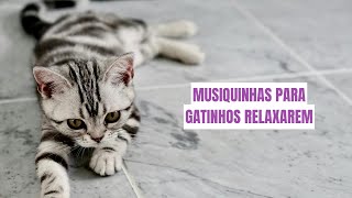 Musiquinhas para gatinhos relaxarem  Relaxe seu gato  10 horas de música calmante para gatos [upl. by Jen864]