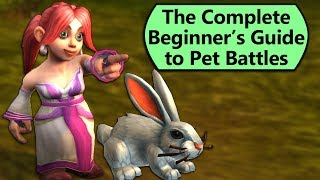 How to Get Started with Pet Battles From Scratch [upl. by Kcinom]