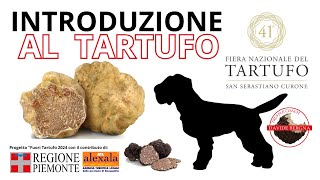 INTRODUZIONE al mondo del TARTUFO [upl. by Lyndell913]