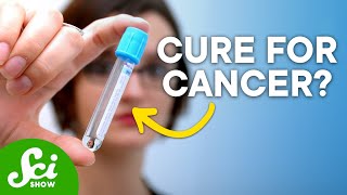 Have We Discovered a Cure for Cancer on Accident [upl. by Couchman]