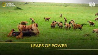 Leaps of Power  Animal Fight Club  Full Episode  S4  E5  National Geographic [upl. by Schick136]