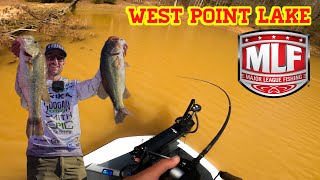 HUGE COMEBACK THE SHALLOW WATER GRIND PAID OFF MLF West Point Lake [upl. by Helve]