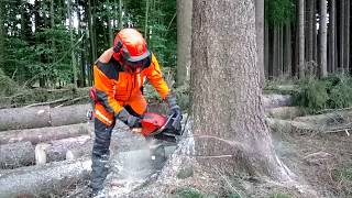 Chainsaw Husqvarna 572 XP Garden and Forest Original YouTube Video [upl. by Maker]