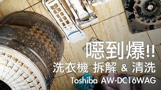 噁到爆 洗衣機拆解清洗DIY Toshiba AWDC16WAG 歐塊 OMG CRAFTS [upl. by Eirbua]