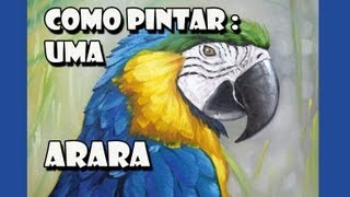 Como Pintar  Arara  Passo a Passo [upl. by Erodaeht]