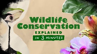 Wildlife Conservation  Explained in 3 Minutes 04 [upl. by Enaamuj]