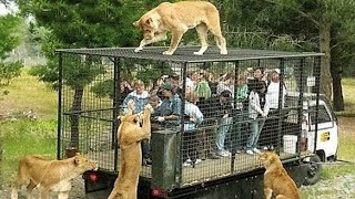 10 MOST STUNNING ZOOS IN THE WORLD [upl. by Elleniad]