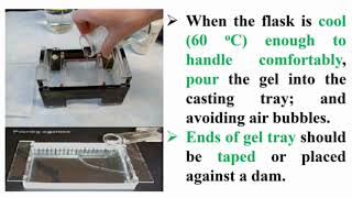 Preparation Agarose Gel Electrophoresis [upl. by Nalro526]