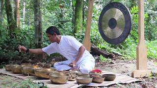 Meditação com tigelas tibetanas e os sons da floresta [upl. by Eilema921]