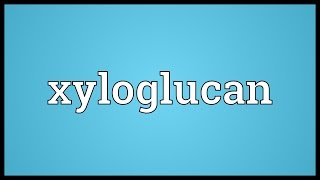 Xyloglucan Meaning [upl. by Eenaffit487]