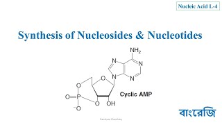 253 Synthesis of Nucleosides amp Nucleotides Biosynthesis and Laboratory Synthesis [upl. by Enella]