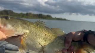 Pesca de tilapia con mi sobrino Rudy en el lago [upl. by Reve]