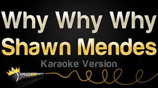 Shawn Mendes  Why Why Why Karaoke Version [upl. by Nyletac273]