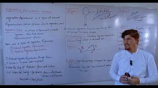 Vegetative propagation in plantsclass 10th biologypashto lecture [upl. by Frodeen]