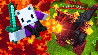 I Fought Every Final Boss in Minecraft [upl. by Imeaj]