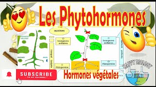 Les Phytohormones  Lauxine Cytokinine Gibbérelline Acide abscissique éthylène [upl. by Arahc]