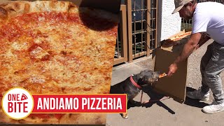 Barstool Pizza Review  Andiamo Pizzeria Scottsdale AZ [upl. by Laubin]