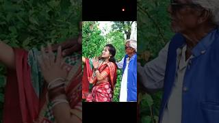 tingalu buda😎 New sambalpuri comedy fannyvideo sambalpurifunny [upl. by Selry]