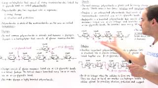 Polysaccharides Glycogen Starch and Cellulose [upl. by Florina]