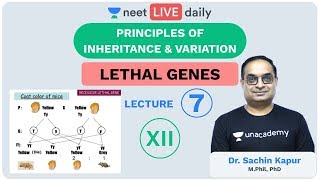 Principles of Inheritance amp Variation  L7  Unacademy NEET  LIVE DAILY  NEET Biology  Sachin Sir [upl. by D'Arcy706]