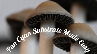 Pan Cyan Substrate Made Easy [upl. by Etneciv626]