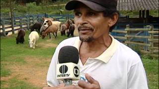 Haras Dlucas interior de Minas reportagem da Intertv dos vales [upl. by Nyram]