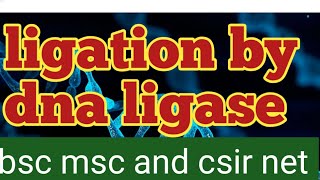 ligation process by dna ligase csir net [upl. by Amalie]