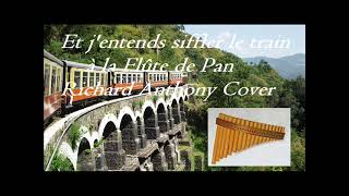 Et jentends siffler le train à la Flûte de Pan  Richard Anthony Cover [upl. by Crellen259]