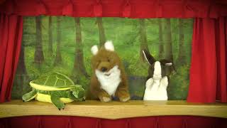 The Tortoise and the Hare  Childrens Puppet Show [upl. by Carper]