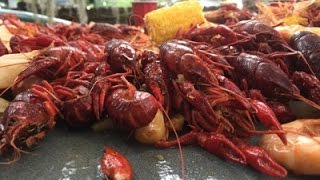 How to quotBOIL CRAWFISHquot Louisiana Style [upl. by Venditti]