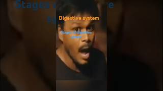 Digestive system stages of digestive systembiologykeerthisphere [upl. by Aridnere]