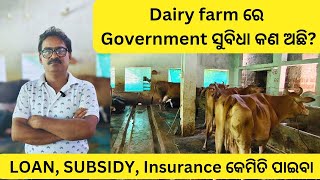 Dairy Farm ରେ Loan Govt Subsidy insurance କେମିତି ପାଇବା Detail Discussion Dairy Farm in odisha [upl. by Eula]