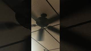 Wobbly ceiling fan 3 [upl. by Seyah]