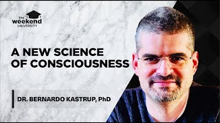 Is Reality Made of Consciousness  Dr Bernardo Kastrup PhD [upl. by Nnylhsa525]