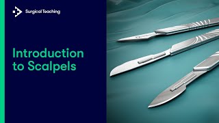 Introduction to Scalpels  What You Need to know to Safely Use this Essential Instrument [upl. by Lathrope765]