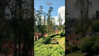 🚂Ooty to coonoor train travel subscribe trending viralvideo ootytrain coonoor [upl. by Wicks]