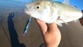 The Joys and Challenges of Spin Fishing for Kahawai  NZ Beach Fishing [upl. by Etteinotna]