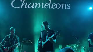 The Chameleons  live  The Chapel San Francisco 9252023 full set [upl. by Nodroj]