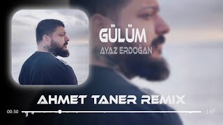 Ayaz Erdoğan  Gülüm  Ahmet Taner Remix   Bile bile bana yine zehir ediyon [upl. by Ttennaej]