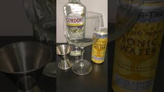 How to Make a Gin amp Tonic Gordons amp Fever Tree Tonic Water [upl. by Nerraw]