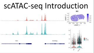 Introduction to single cell ATAC data analysis in R [upl. by Yaeger]