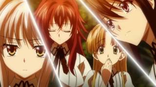 AMV ISSEI KUN HIGH SCHOOL DXD 2 TEMPORADA [upl. by Philipp]