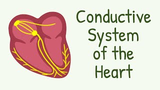 Intraventricular Conduction Delay ECG Quiz Medium Difficulty [upl. by Nordna775]